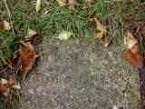 image of grave number 919765